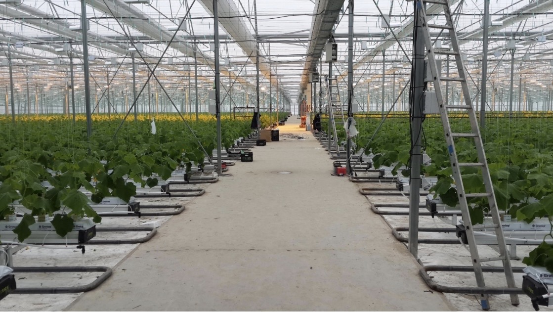 IPM Isı Proje Makina Successfully Completed a 24,000 m² Greenhouse Project in Bulgaria